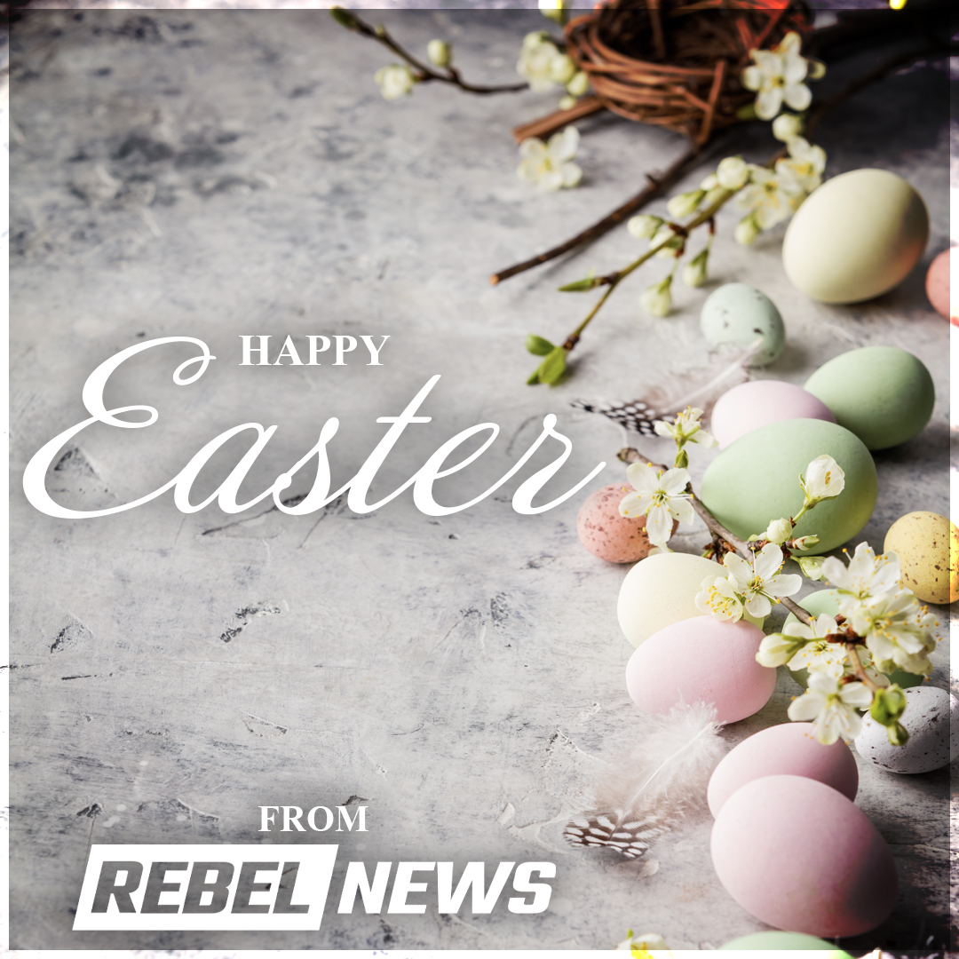 Rebel News tweet media