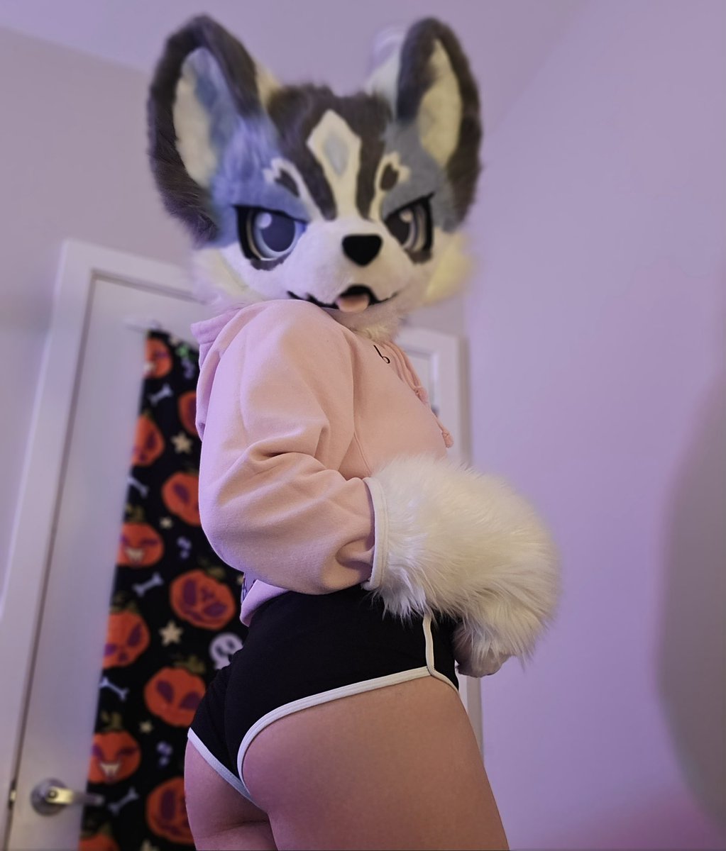 Kenai :3 🔜 AC tweet media