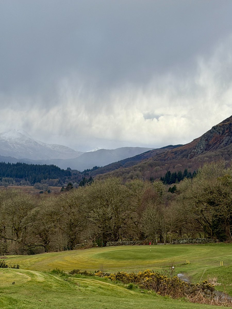 William Paterson tweet media