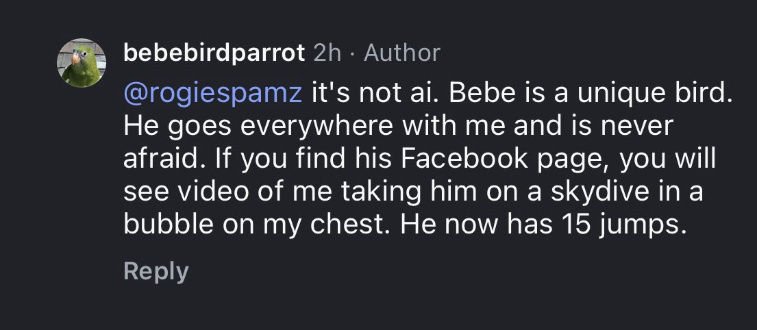 Polo fresh, I am ze man 🇵🇸 tweet media