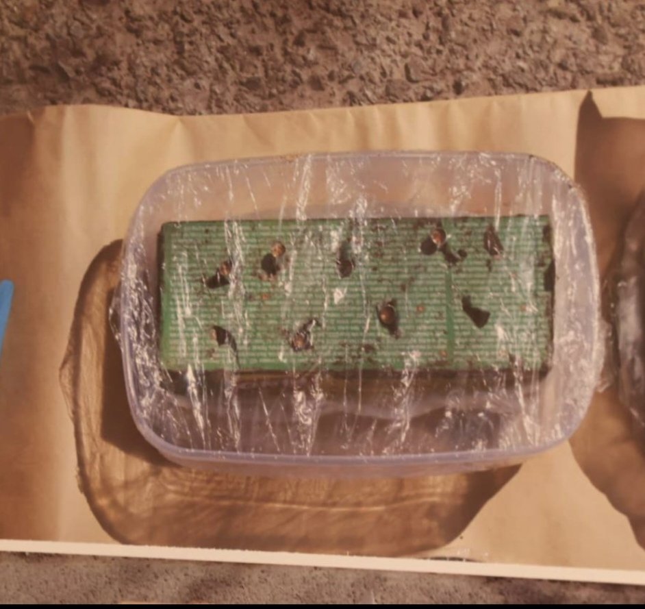 Miloš Jovanović tweet media