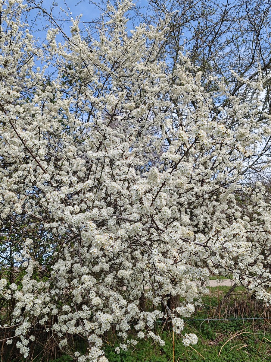 Alexandre Page (auteur) tweet media