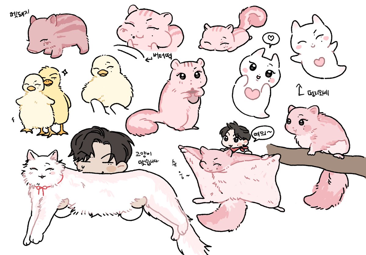 도토리수집가 tweet media