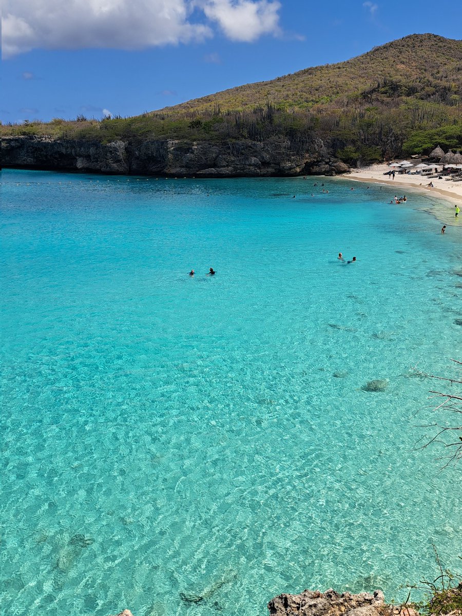 Chris McQuaid tweet media