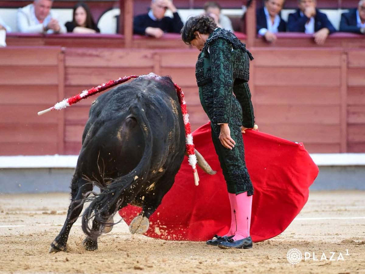 Plaza de Las Ventas tweet media