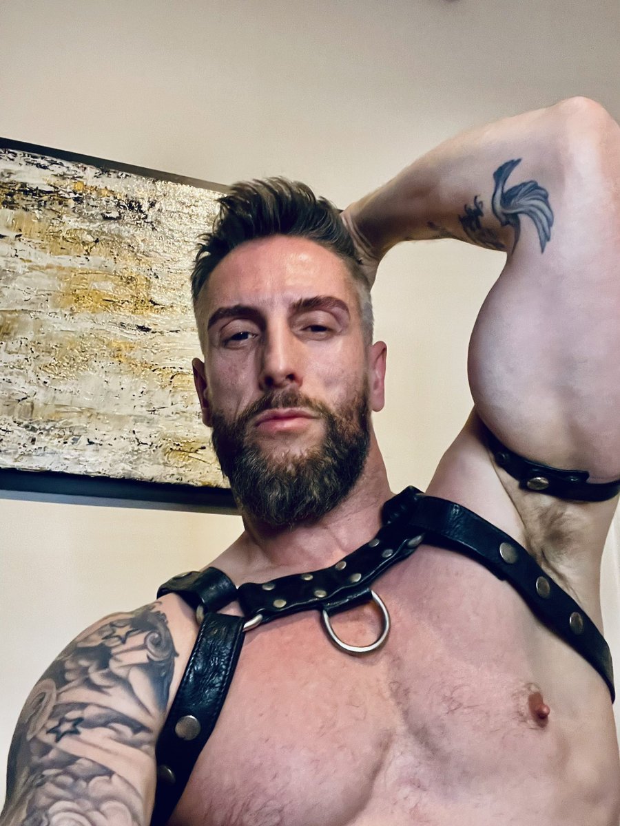 Nick North tweet media