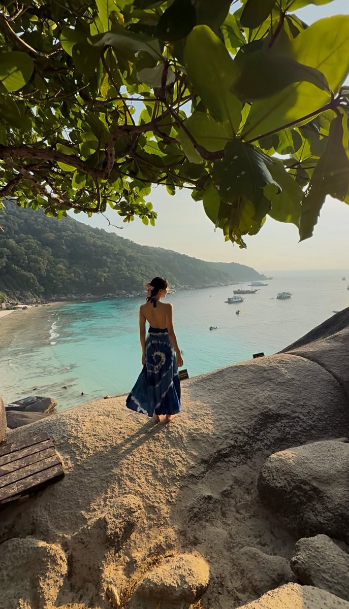 小弟妹🐻 tweet media