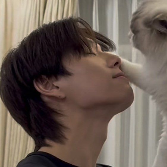 bbyh3art 🐈⬛ ྀི tweet media