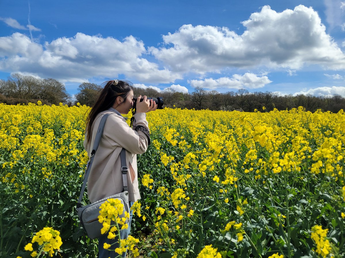 千斤田 tweet media