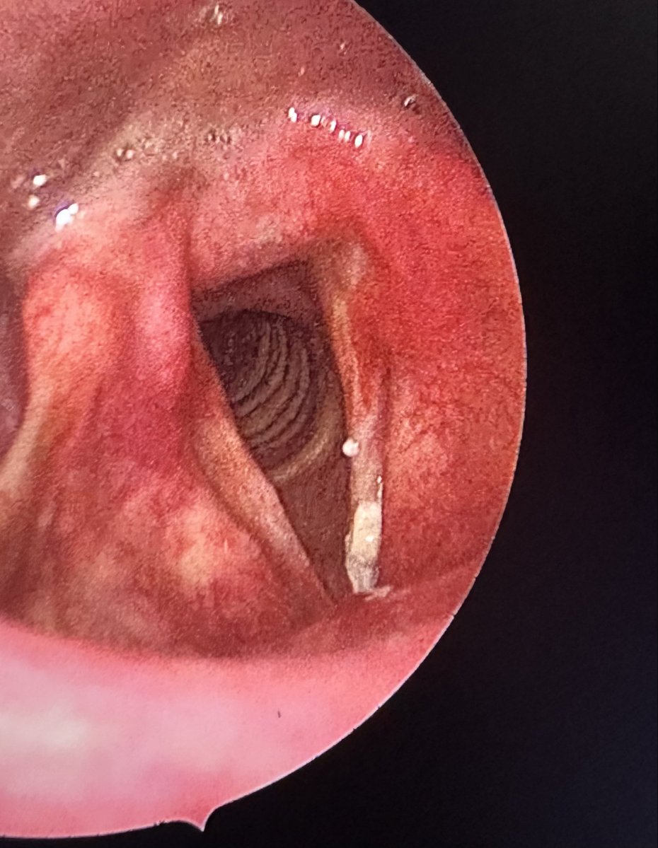 دكتوره منال بخاري tweet media
