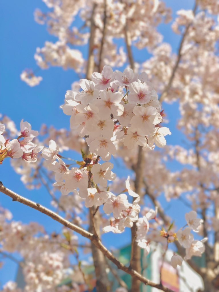 양종훈 tweet media