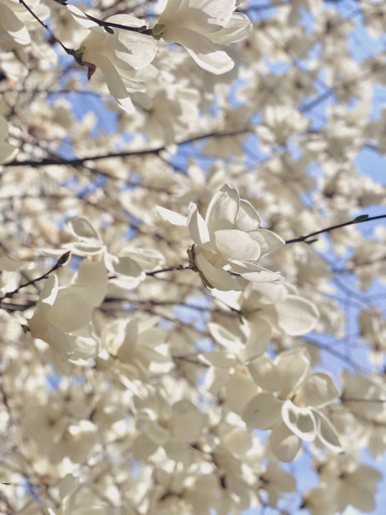 양종훈 tweet media