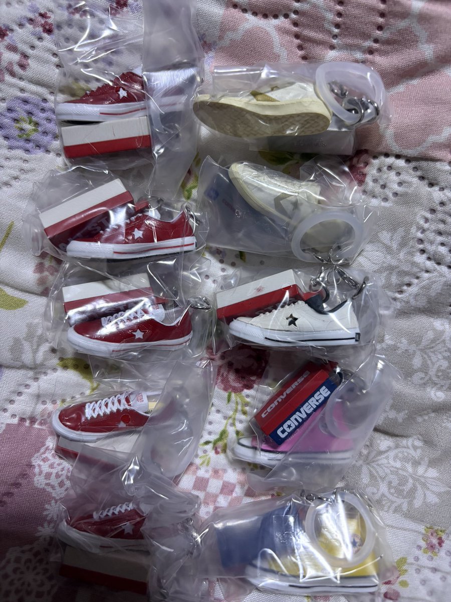 うぉんばっと🦫 tweet media