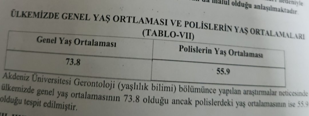 Kara Fatma tweet media