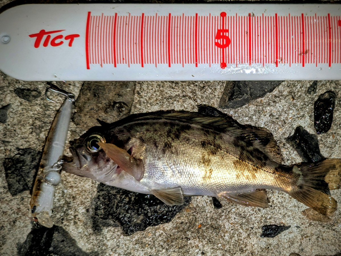 NAVY6622 tweet media