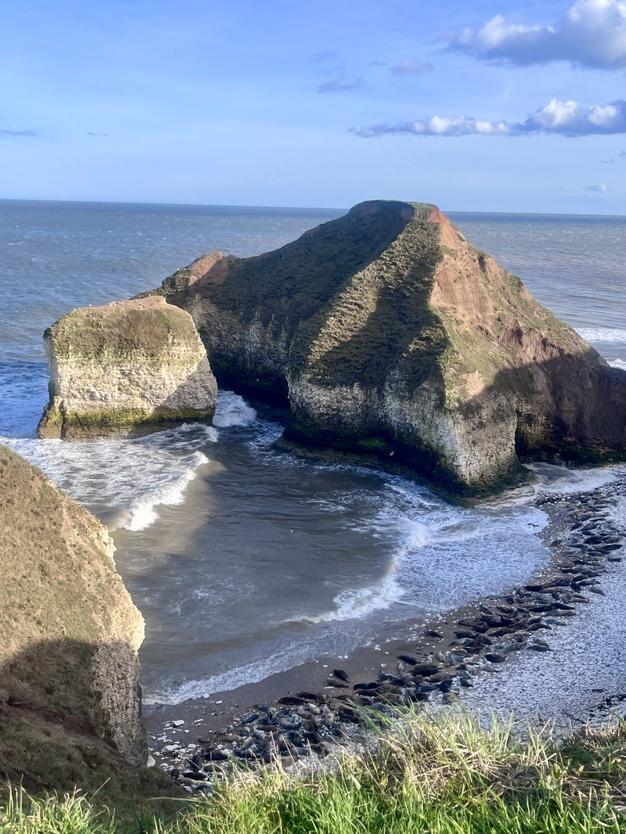 Kathy 🐈‍⬛💐🐈‍⬛💐🐈 tweet media