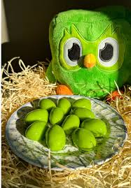 Duolingo Brasil 🇧🇷 tweet media