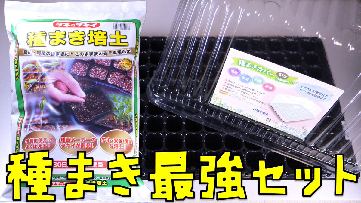 ふぶきテトラ(Fubuki Tetra) tweet media