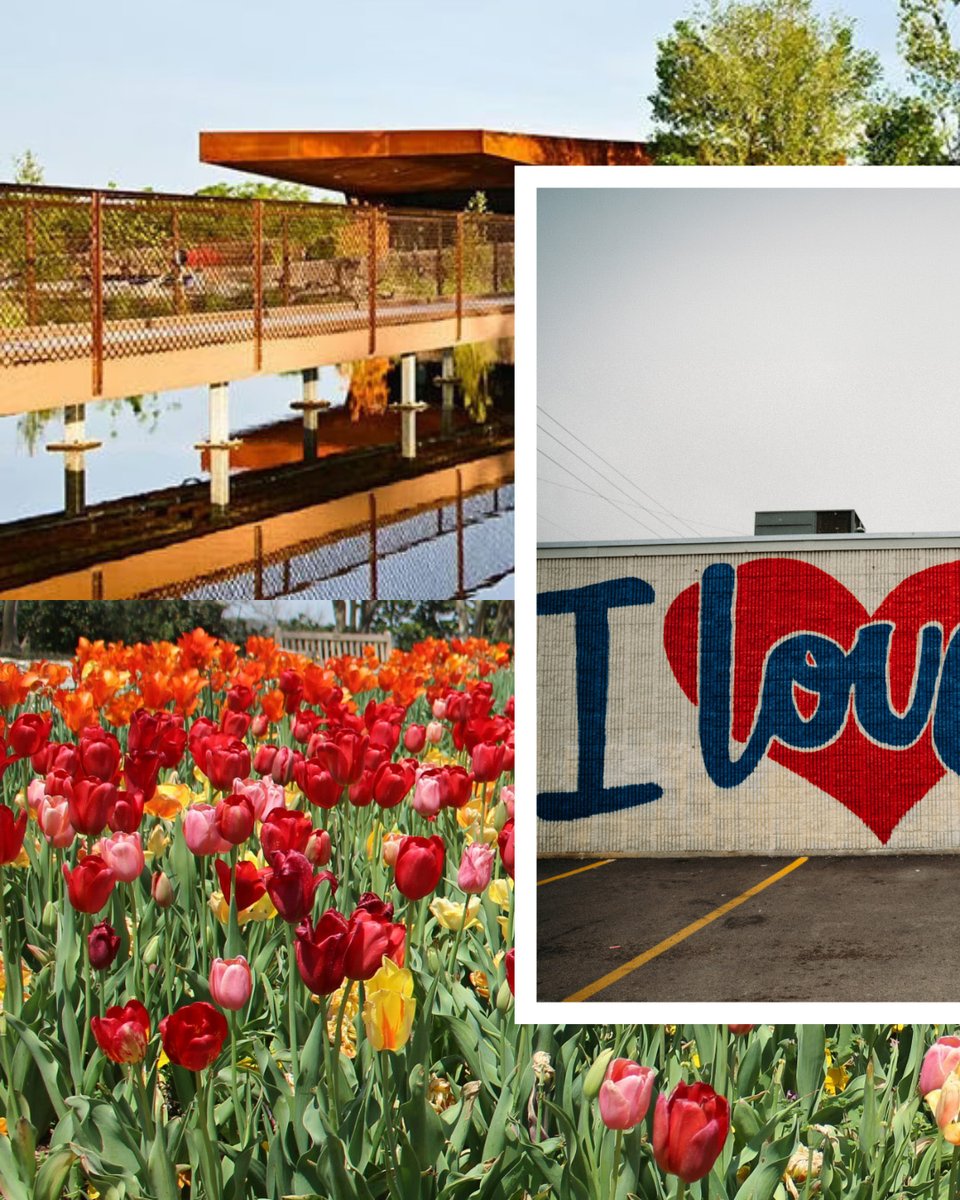 Visit Dallas | Things to do in Dallas tweet media