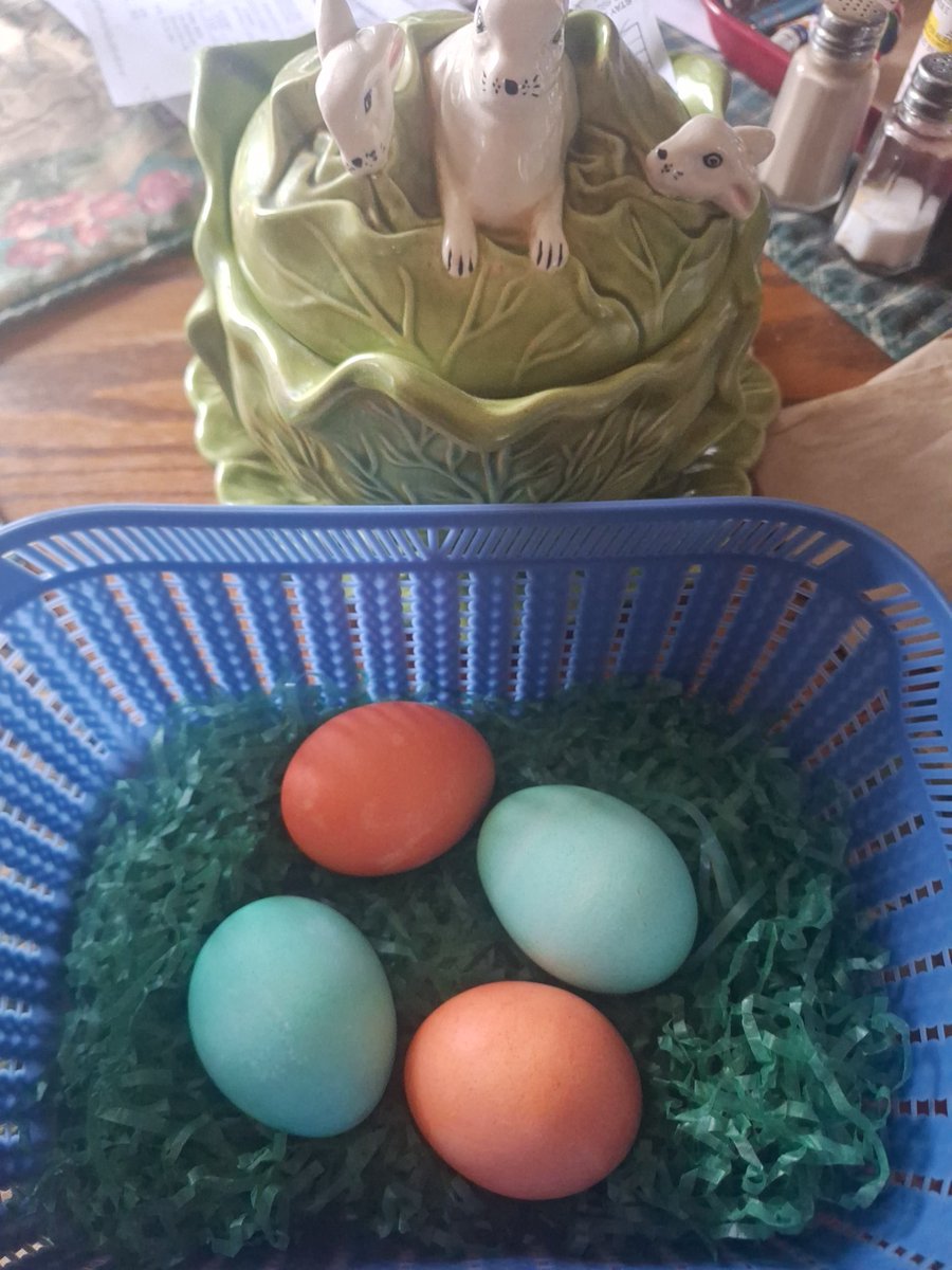 lisa bradford tweet media