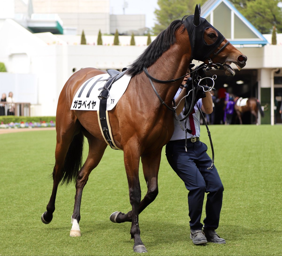 PrimRose tweet media