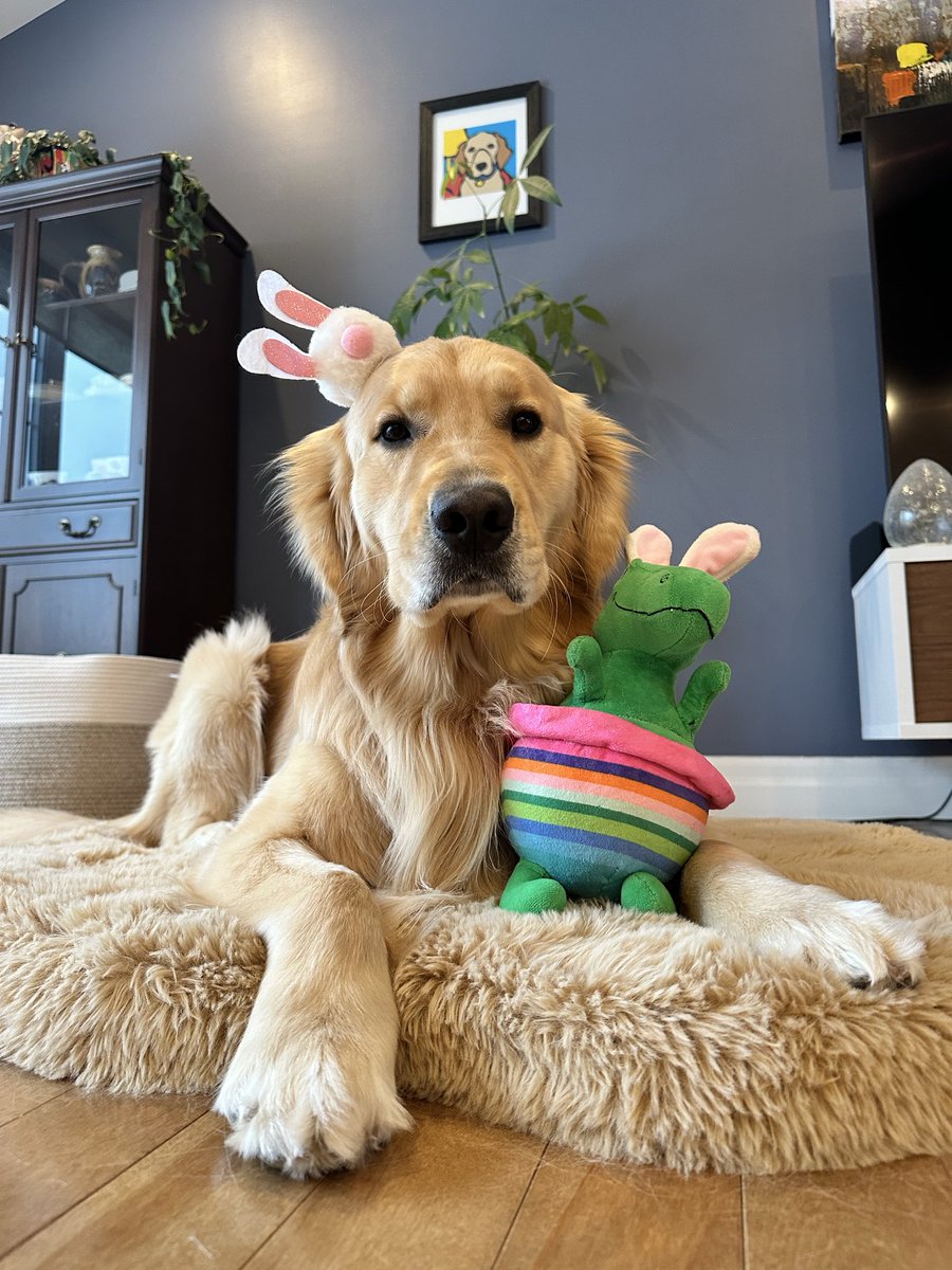 🇨🇦Lynn & Murphy of the North🇨🇦 tweet media