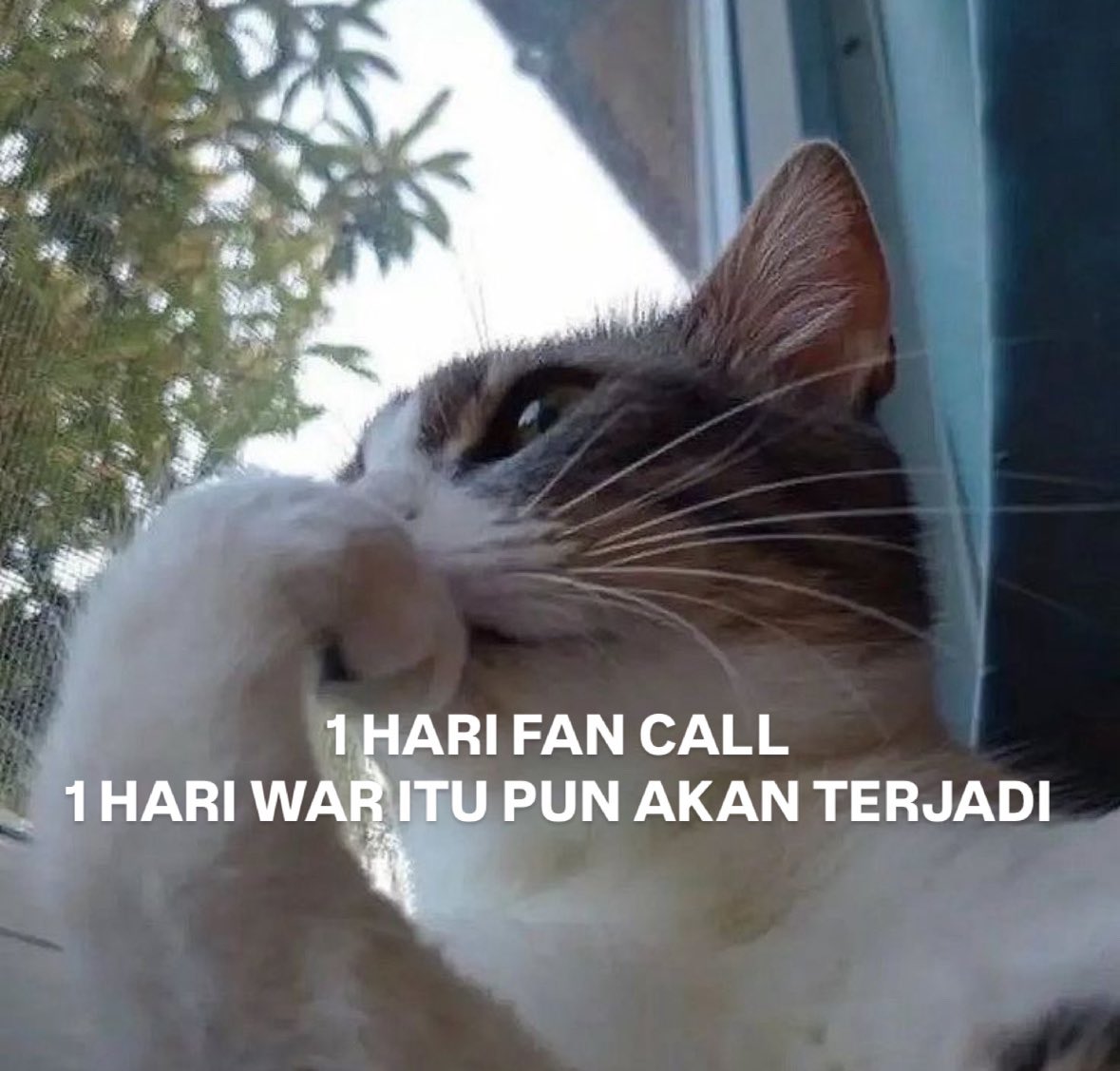 nada..🐈 tweet media