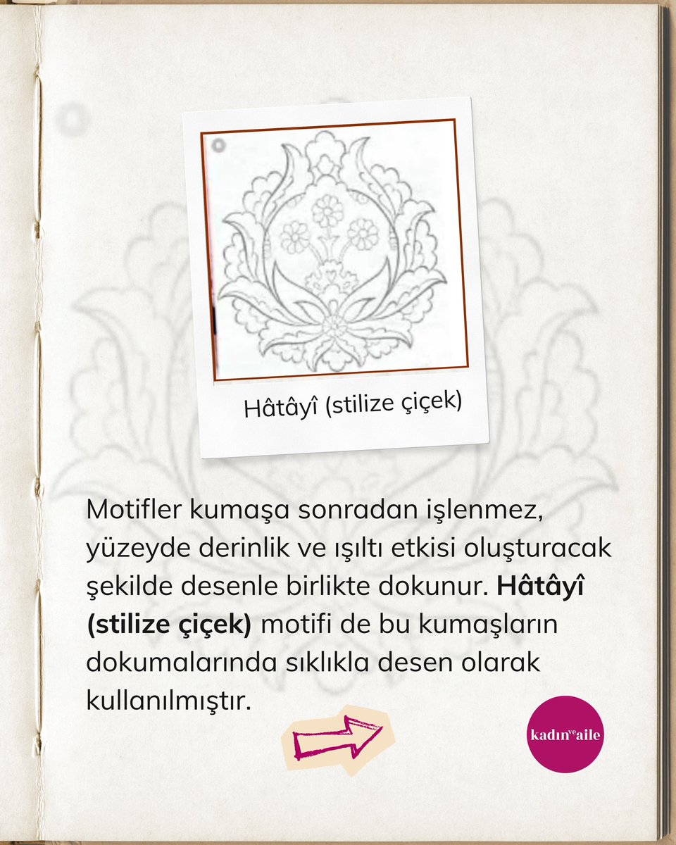 Kadın ve Aile tweet media