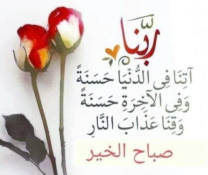 GXV's tweet photo. #صباح_الخير_والسعادة https://t.co/NTSf2yLfxS
