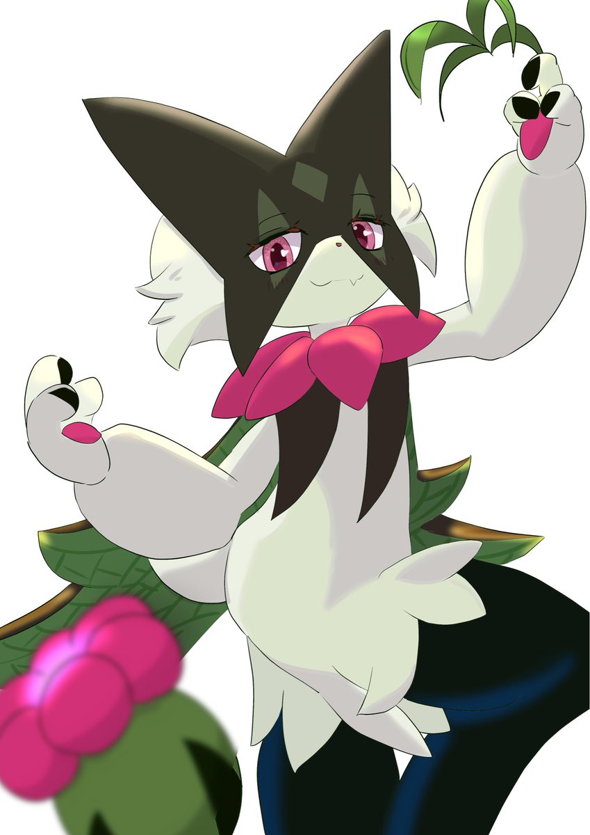 みけ氏（はるみけ） tweet media