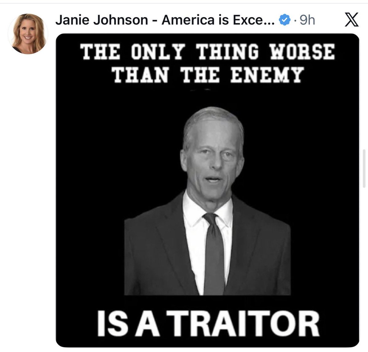 Janie Johnson - America is Exceptional tweet media