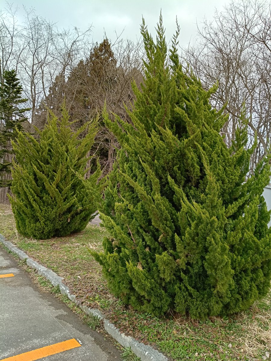 はんどめいど雑貨工房R'sFactory tweet media