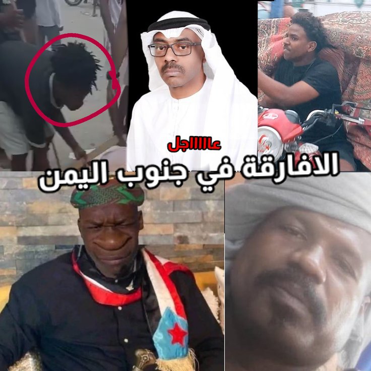 المستر tweet media