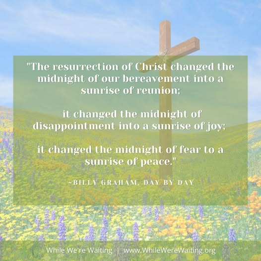 While We're Waiting (@whilewerwaiting) on Twitter photo 