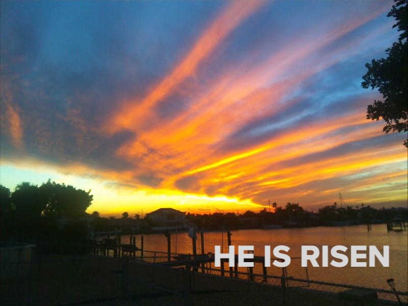 Southern Grace 🔥✨ tweet media