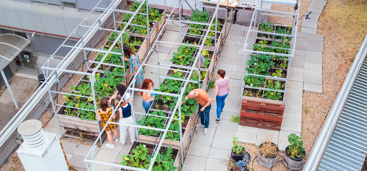 Biólogos de Madrid tweet media