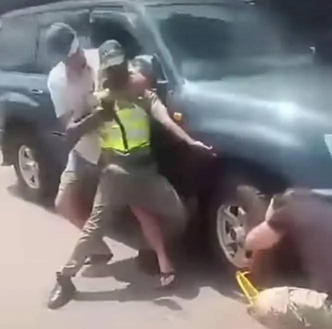 M. X. 📰 tweet media