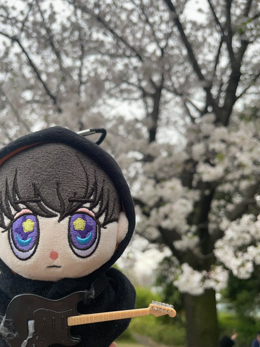 ちょん tweet media