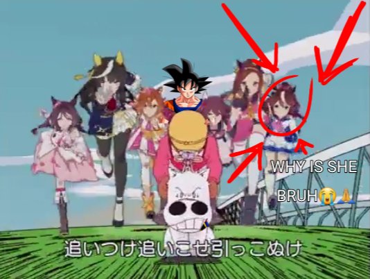 Apolo Festa tweet media