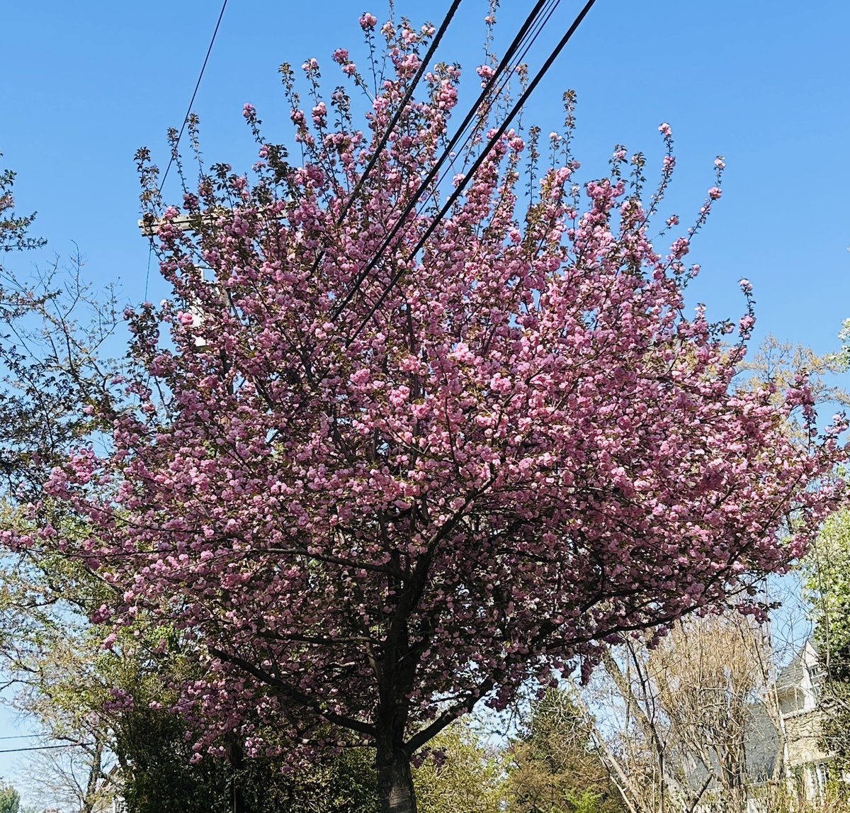 BoehlertMediaBusters tweet media