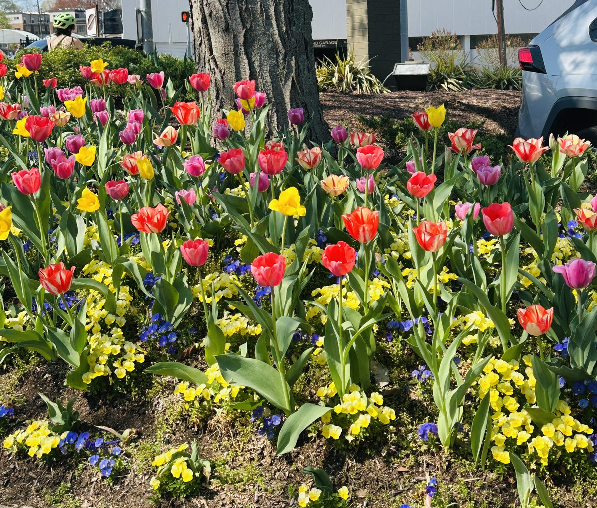 BoehlertMediaBusters tweet media