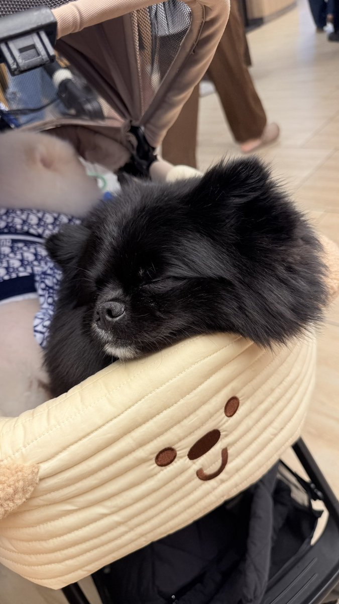 engfastudio 🧸📷 tweet media