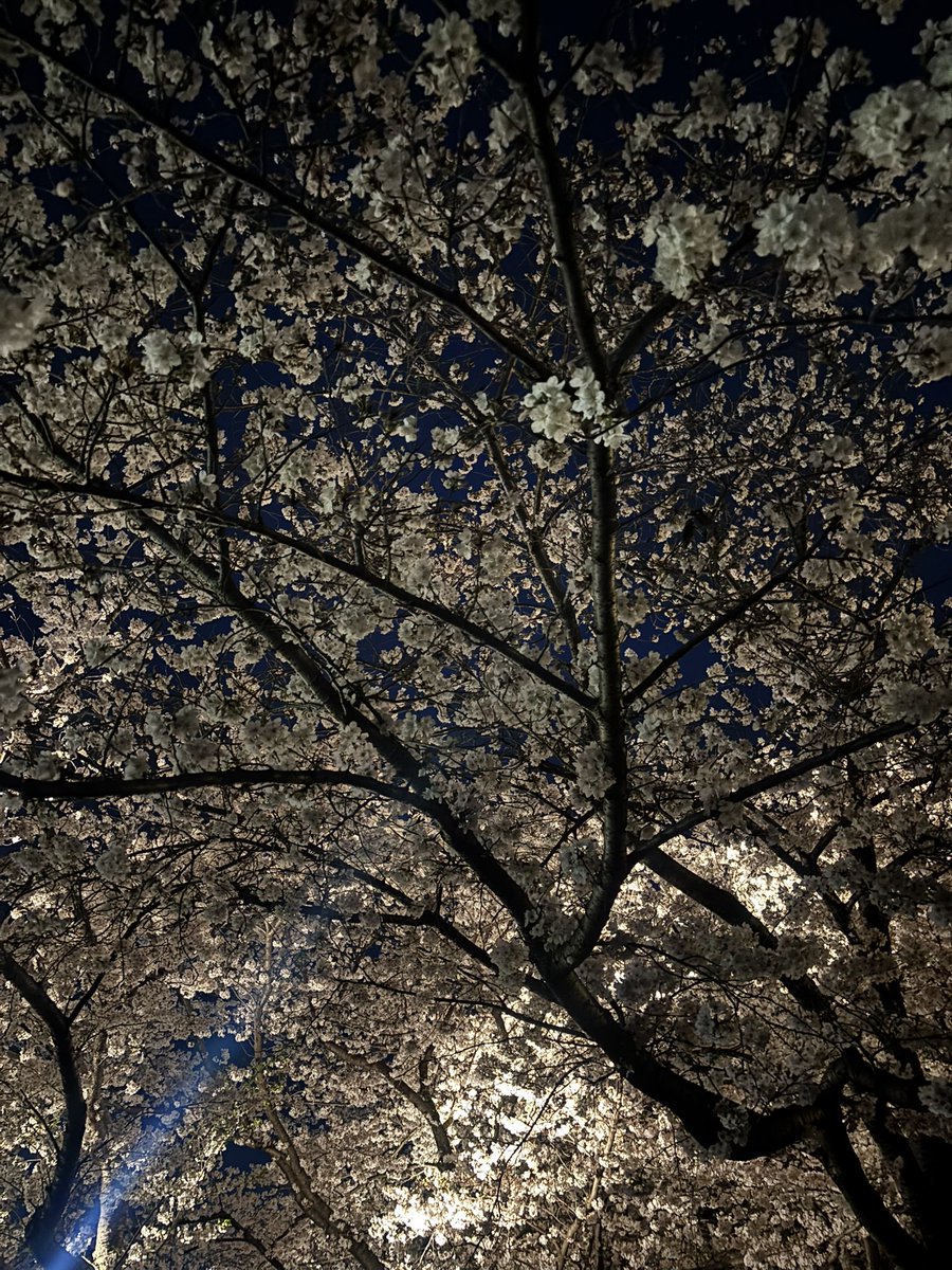 しだれ🌾GHOST福岡2日目 tweet media