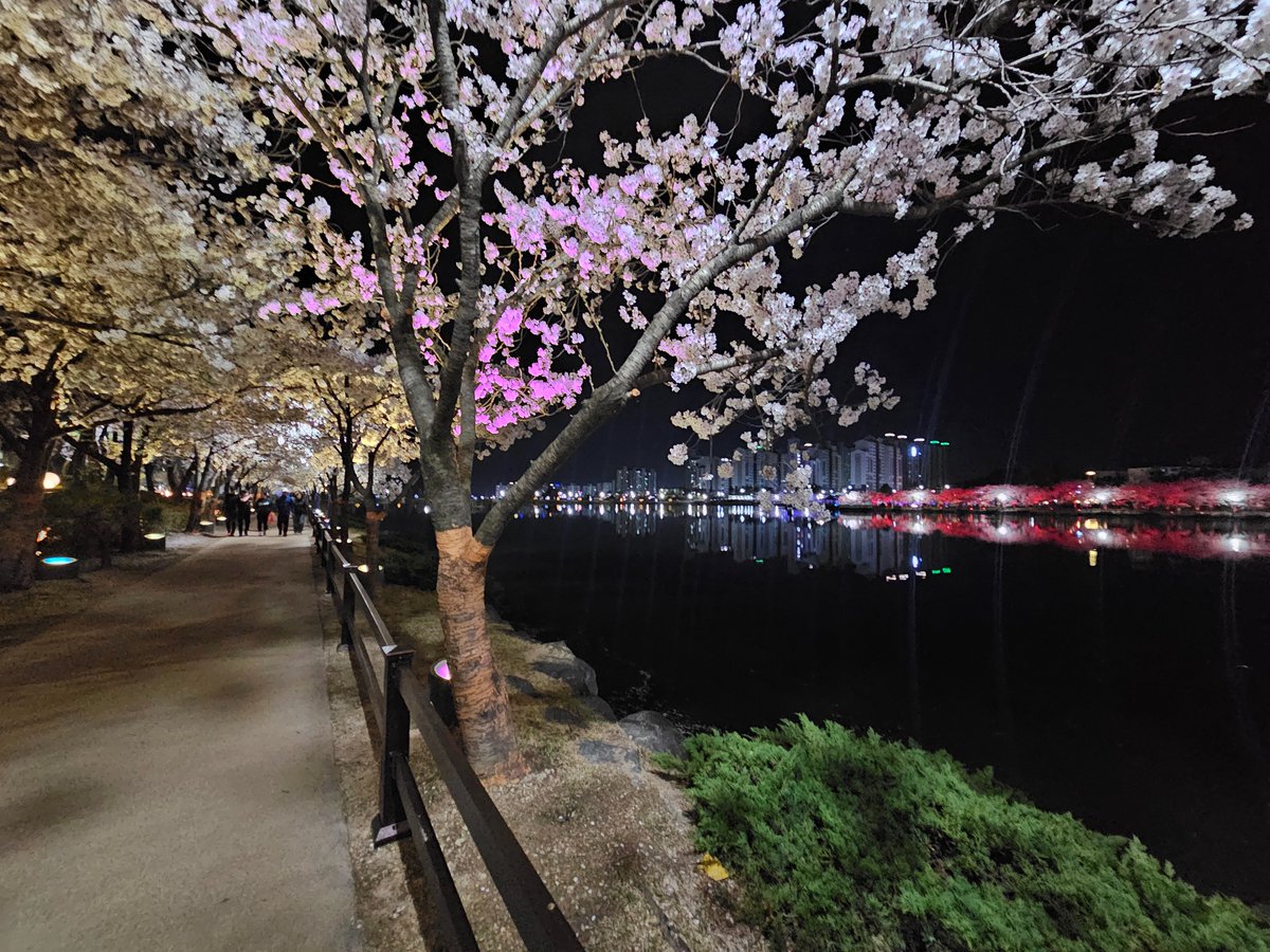 빛난다연💫 tweet media