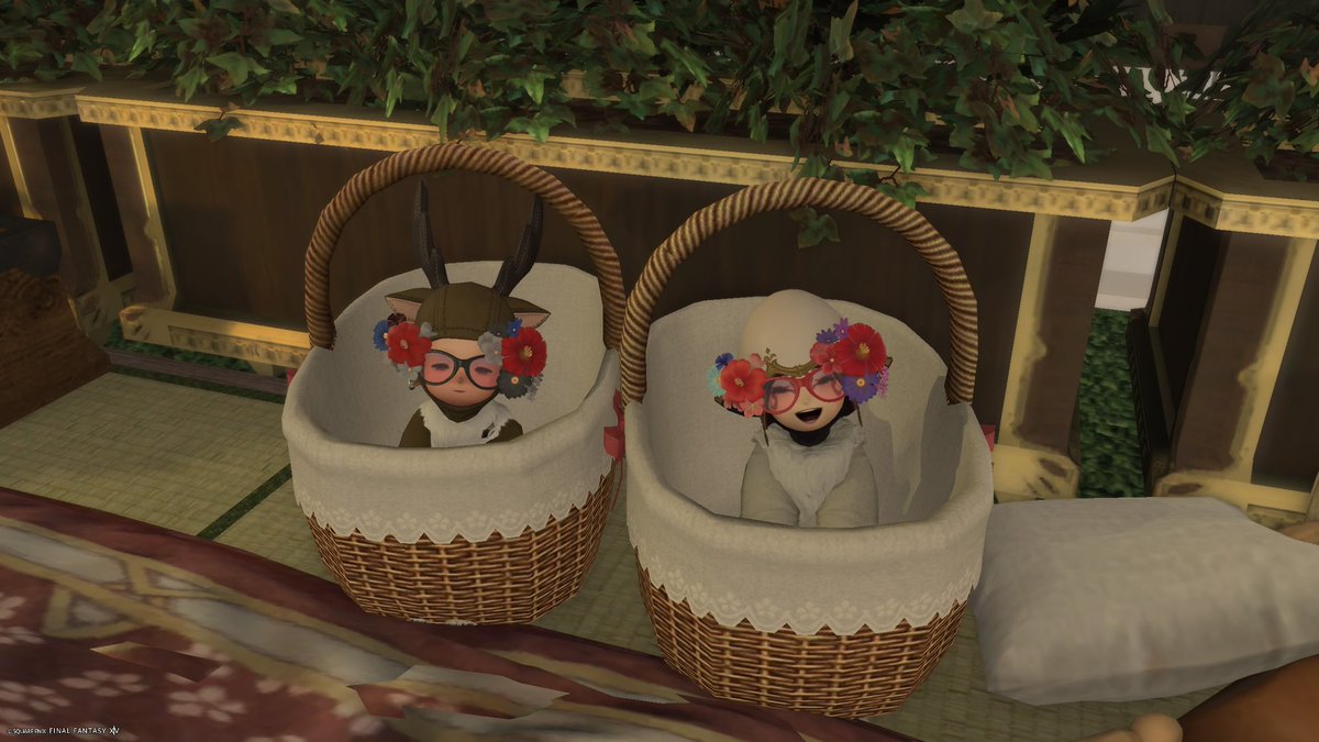 ぷくぷくプク☽ tweet media