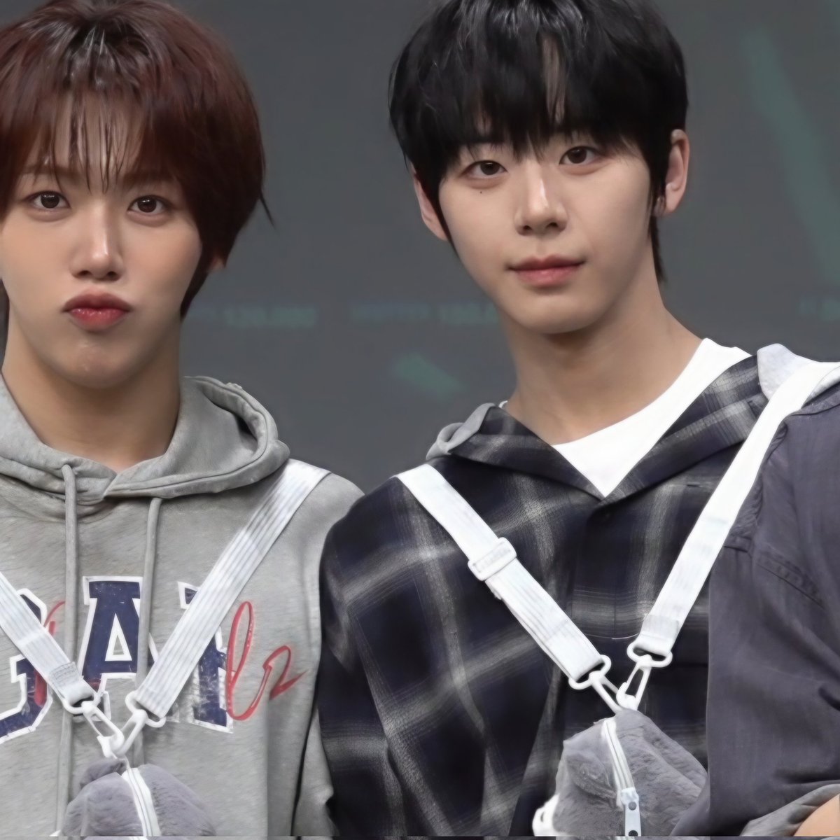 팤카 tweet media