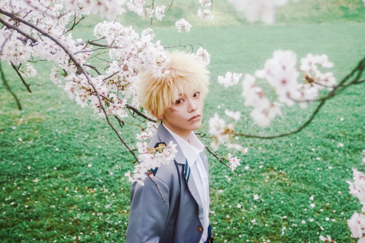 よし乃 tweet media