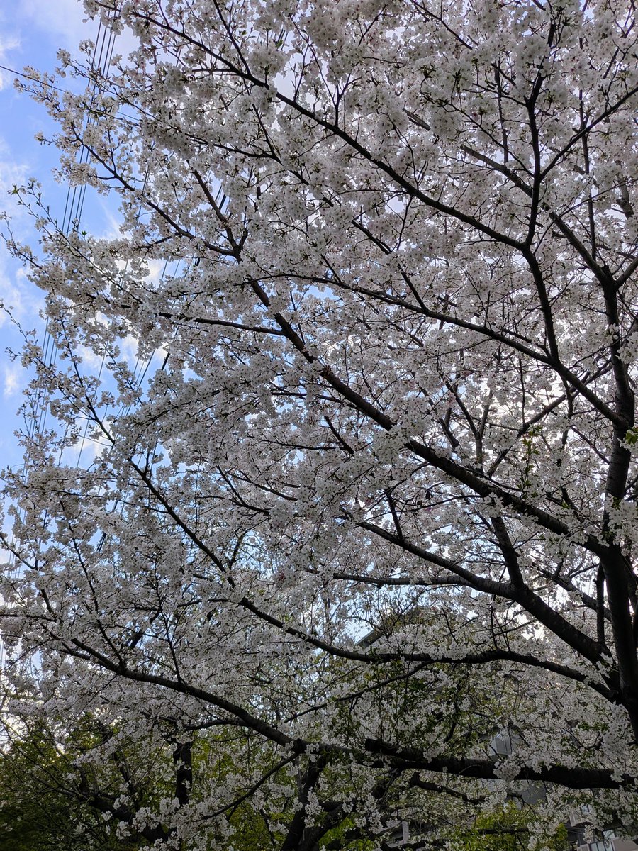 うたあけ tweet media