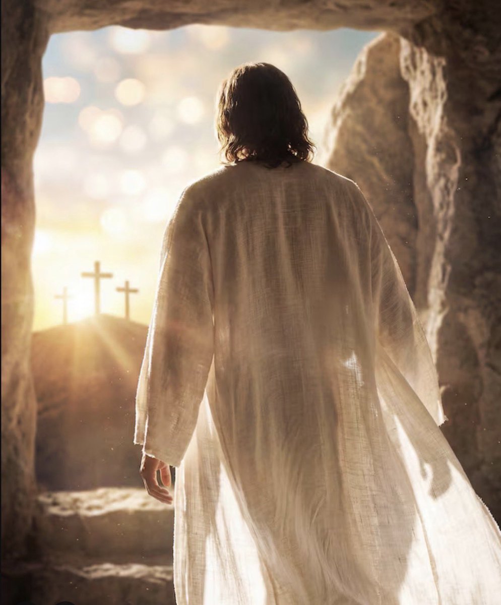 Dave ₿ 🌴 tweet media