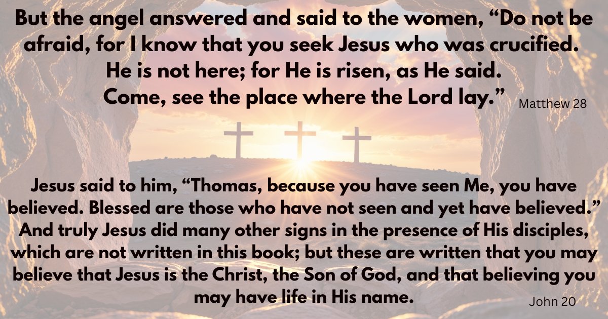 Fluffy Pudge & Friends tweet media